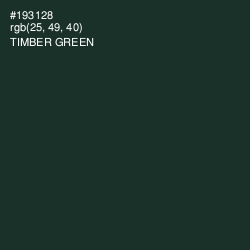 #193128 - Timber Green Color Image